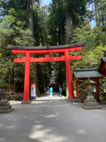 箱根神社の鳥居