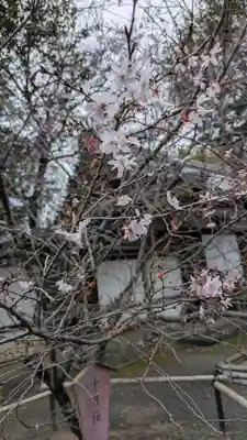 平野神社(京都府)