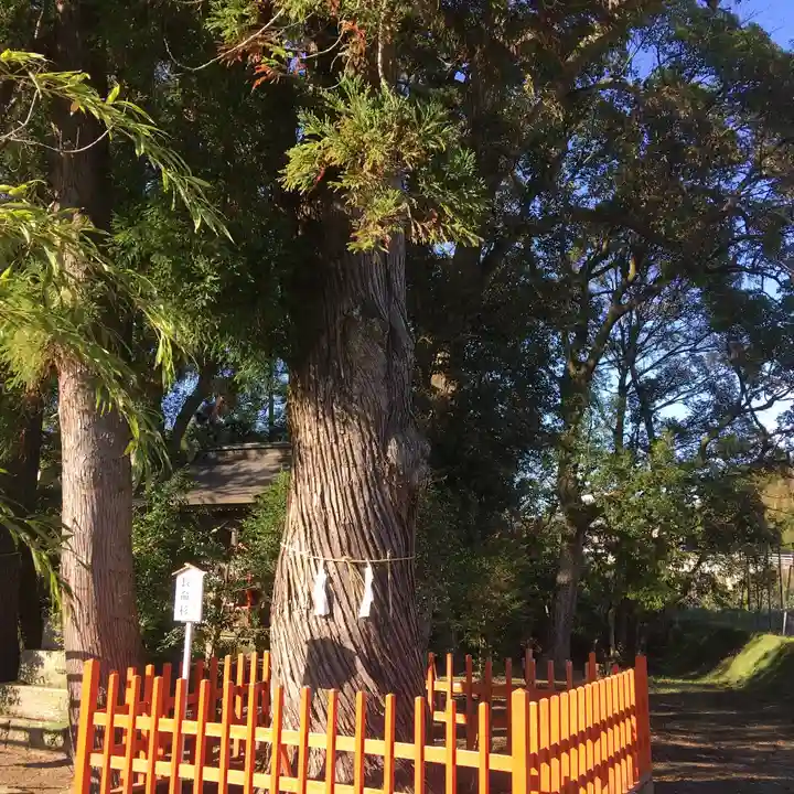 赤池神社の自然