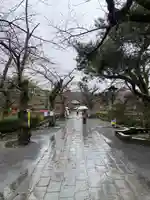 三嶋大社(静岡県)