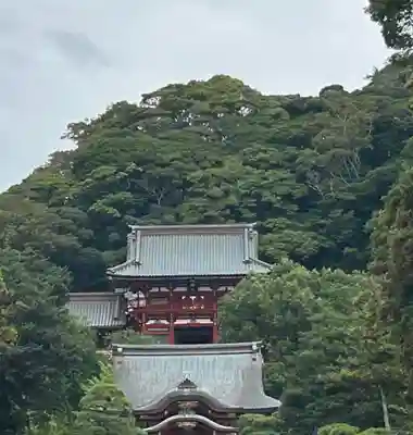 鶴岡八幡宮の本殿・本堂