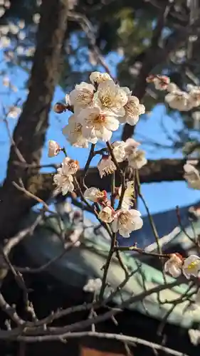 菅大臣神社(京都府)