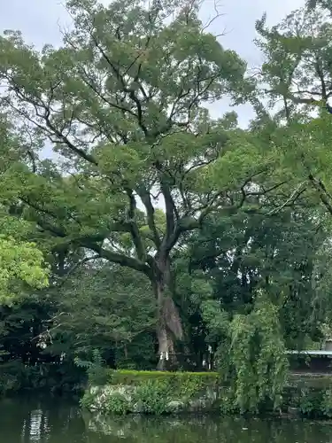 三嶋大社の庭園