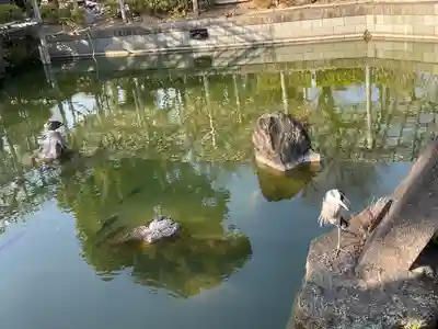 亀戸天神社(東京都)