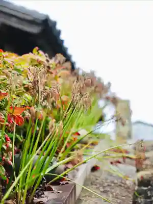 浄土寺(兵庫県)