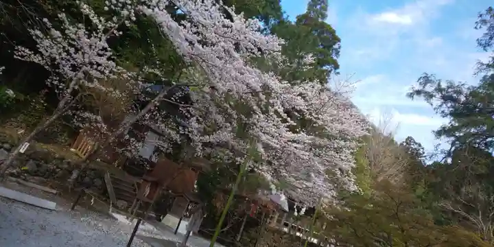 出雲大神宮の景色