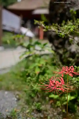 宝城坊(神奈川県)