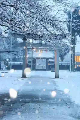 守りの神　藤基神社の鳥居