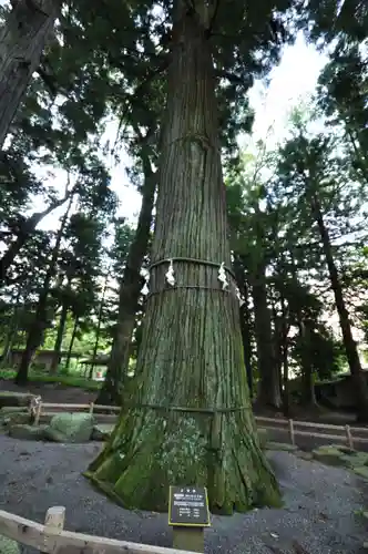 河口浅間神社(山梨県)