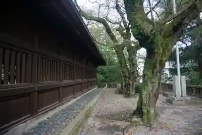 宇都宮二荒山神社のその他建物