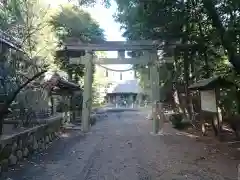 八幡神社の鳥居