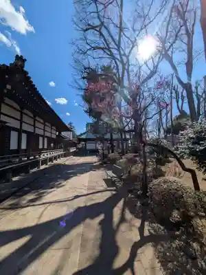 妙法寺(東京都)