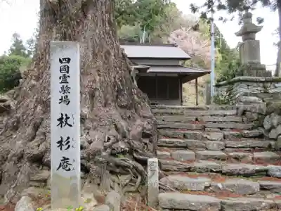 杖杉庵(徳島県)