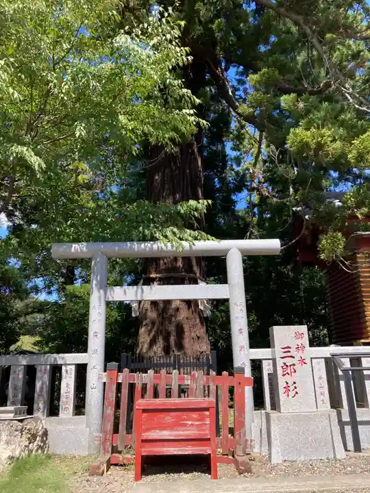 大杉神社(茨城県)