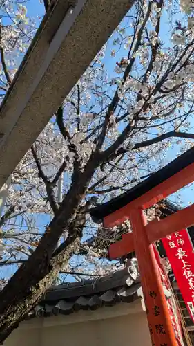 妙雲院(京都府)