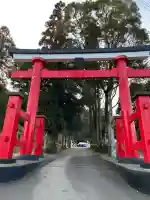 東霧島神社の{uncategorized: "未分類", other: "その他", undefined: "問題あり", building: "その他建物", grave: "お墓", sacred_gate: "鳥居", guardian: "狛犬", statue: "像", buddha: "仏像", history: "歴史", nature: "自然", garden: "庭園", animal: "動物", pagoda: "塔", temizu: "手水舎", mountain_gate: "山門・神門", sanctuary: "本殿・本堂", subordinate: "末社・摂社", art: "芸術", scenery: "景色", jizo: "地蔵", ema: "絵馬", goshuin: "御朱印", omikuji: "おみくじ", items: "授与品その他", amulet: "お守り", goshuincho: "御朱印帳", eats: "食事", festival: "お祭り", votive_dance: "神楽", shichigosan: "七五三参", wedding: "結婚式", experience: "体験その他", initially: "初詣", around: "周辺", anti_infection: "感染症対策"}