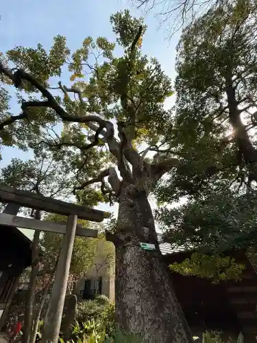 鹿嶋神社の{uncategorized: "未分類", other: "その他", undefined: "問題あり", building: "その他建物", grave: "お墓", sacred_gate: "鳥居", guardian: "狛犬", statue: "像", buddha: "仏像", history: "歴史", nature: "自然", garden: "庭園", animal: "動物", pagoda: "塔", temizu: "手水舎", mountain_gate: "山門・神門", sanctuary: "本殿・本堂", subordinate: "末社・摂社", art: "芸術", scenery: "景色", jizo: "地蔵", ema: "絵馬", goshuin: "御朱印", omikuji: "おみくじ", items: "授与品その他", amulet: "お守り", goshuincho: "御朱印帳", eats: "食事", festival: "お祭り", votive_dance: "神楽", shichigosan: "七五三参", wedding: "結婚式", experience: "体験その他", initially: "初詣", around: "周辺", anti_infection: "感染症対策"}