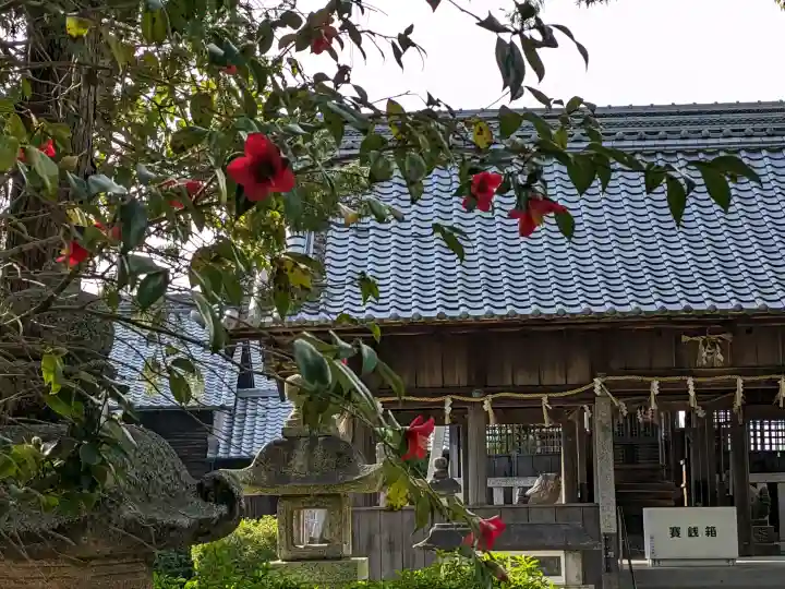 大井神社の{uncategorized: "未分類", other: "その他", undefined: "問題あり", building: "その他建物", grave: "お墓", sacred_gate: "鳥居", guardian: "狛犬", statue: "像", buddha: "仏像", history: "歴史", nature: "自然", garden: "庭園", animal: "動物", pagoda: "塔", temizu: "手水舎", mountain_gate: "山門・神門", sanctuary: "本殿・本堂", subordinate: "末社・摂社", art: "芸術", scenery: "景色", jizo: "地蔵", ema: "絵馬", goshuin: "御朱印", omikuji: "おみくじ", items: "授与品その他", amulet: "お守り", goshuincho: "御朱印帳", eats: "食事", festival: "お祭り", votive_dance: "神楽", shichigosan: "七五三参", wedding: "結婚式", experience: "体験その他", initially: "初詣", around: "周辺", anti_infection: "感染症対策"}