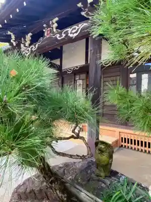 長運寺の本殿・本堂