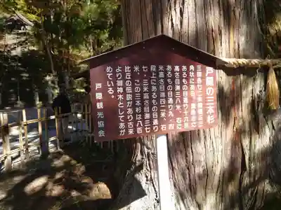 戸隠神社中社(長野県)