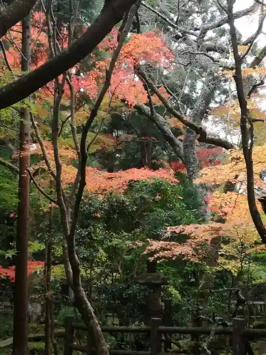 五所駒瀧神社の自然