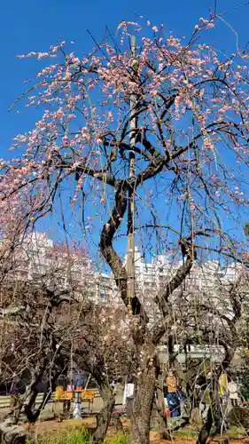 湯島天満宮の庭園