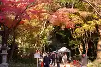 賀茂御祖神社(下鴨神社)(京都府)