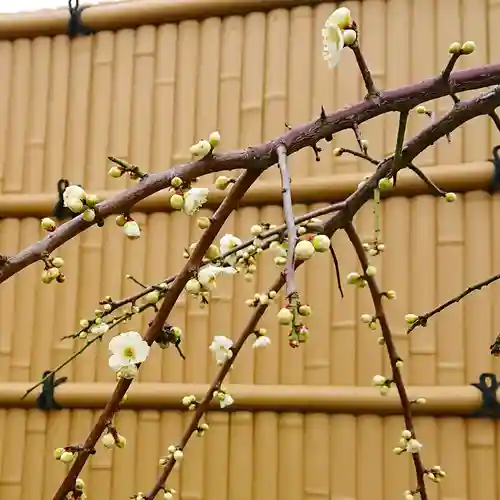 寿量山　速成寺の庭園