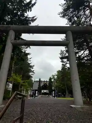 上川神社の鳥居