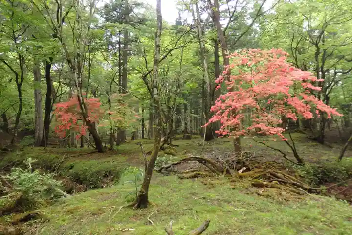 深山巴の宿の自然