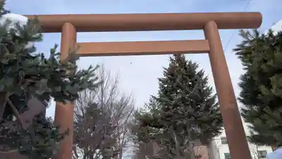 上川神社頓宮の鳥居