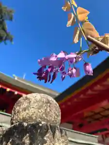 奈加美神社の景色(2024年11月03日(日) 10時09分44秒投稿)