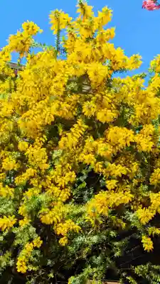 蔵前神社の景色