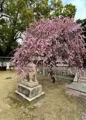 屯倉神社(大阪府)