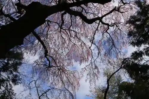 見渡神社の景色