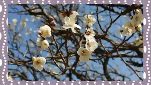 三毳不動尊(栃木県)