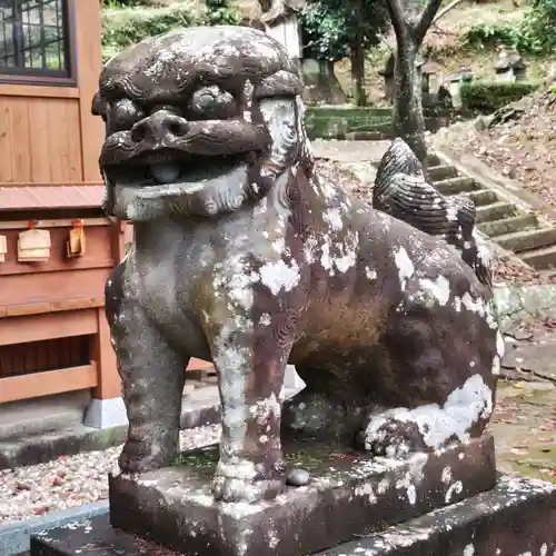 堤雄神社の狛犬