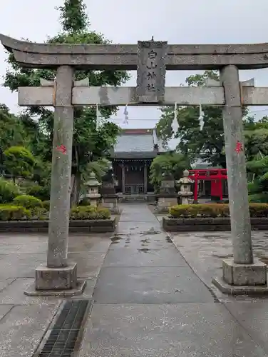 白山神社(東京都)