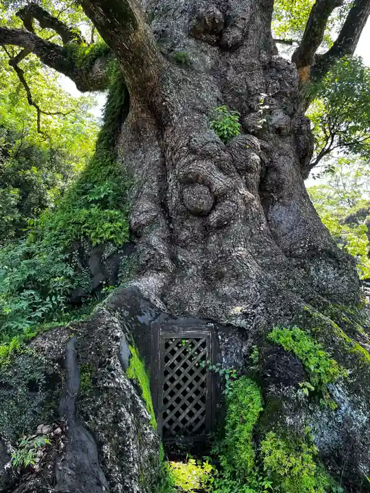 蒲生八幡神社(鹿児島県)