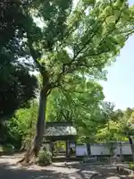 宗賢院の山門・神門