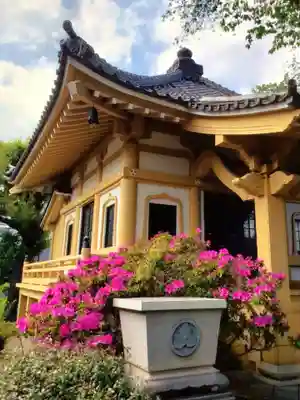 圓照寺(東京都)