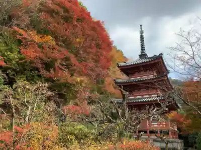 三室戸寺(京都府)