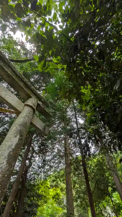 愛宕神社(阿多古神社)(京都府)