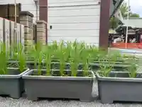 開口神社(大阪府)