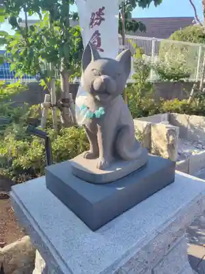 駒込妙義神社(東京都)