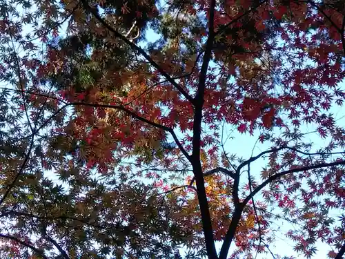 大原寺勝林院(京都府)