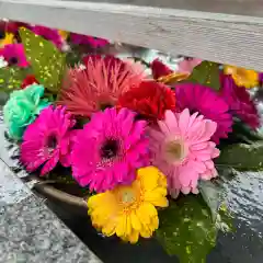 豊景神社の手水