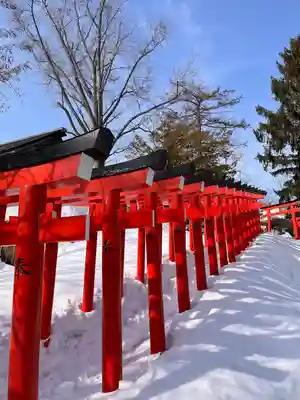 住吉神社の鳥居