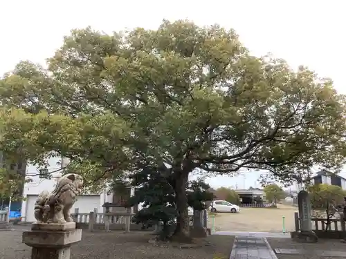 住吉神社（下津住吉町）の自然