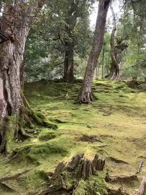 須部神社(福井県)